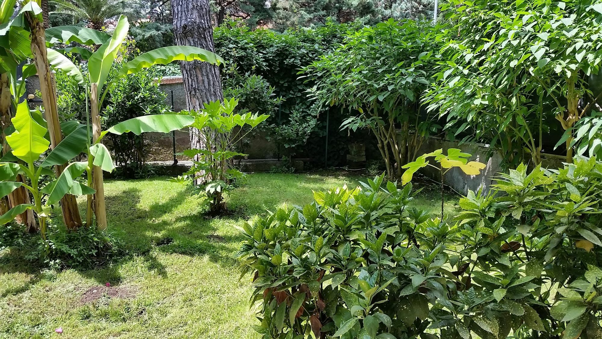 Il Giardino Di Giulia 2 Hotel - Rome — Photos 3